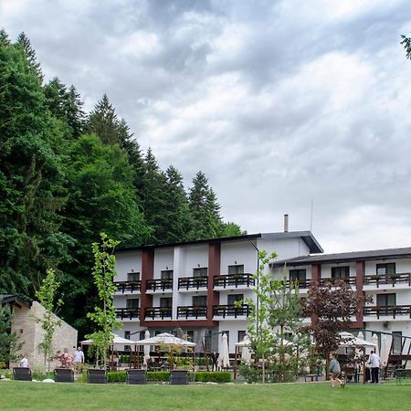 Piatra Pinului Ski & Spa Ґурагумора Екстер'єр фото